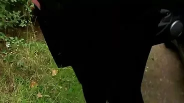 Il foto porche italiane marito traditore aggiusta sia Cayenne che Kyra prima che sua moglie torni a casa