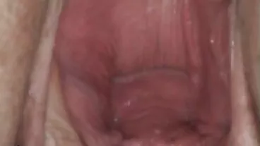 Brazzers: Affare Humping con Taylee Wood video porno bionde porche su PornHD