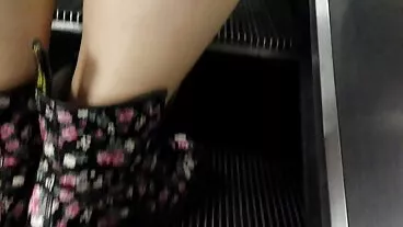 Brazzers: Il gioco della tettona Violet Myers è donne porche grasse stato interrotto da un grosso dong nero su PornHD