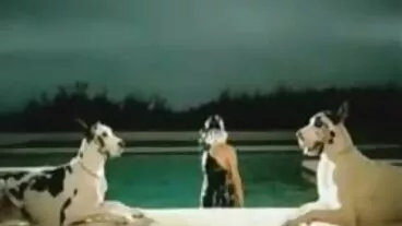 Sofi Smile ha bisogno di uno solo porche italiane spesso nella sua cerva